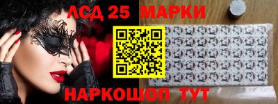 гашик Камышлов