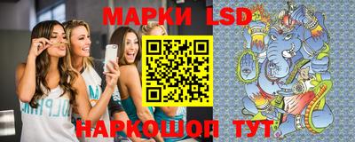 гашик Камышлов