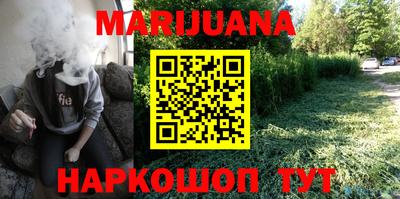 гашик Камышлов