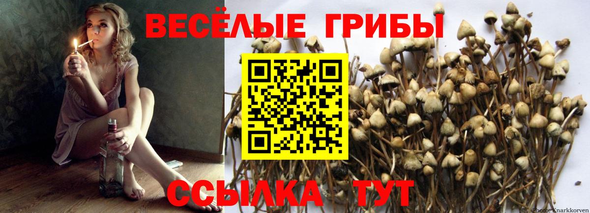 наркота  Псилоцибиновые грибы Magic Shrooms  Вход с VPN  Кубинка 