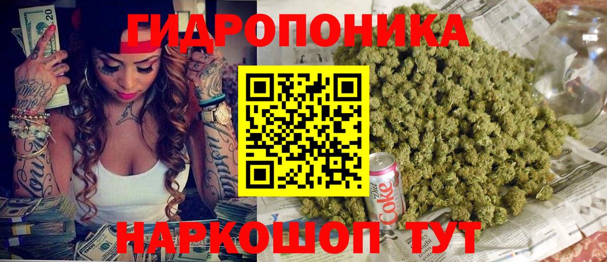 Шишки марихуана планчик Кубинка